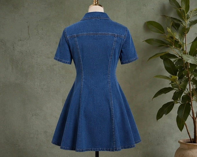 Women’s Button-Front Denim Fit & Flare Dress